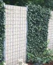 Garten Bronder Bild 8