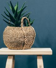 Anton Doll Holzmanufaktur GmbH Bild 3