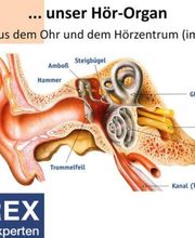 Hörgeräte Dr. Timmel Bild 8