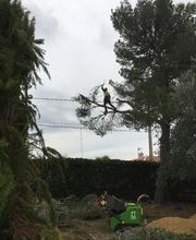 Danielou Elagage image 14