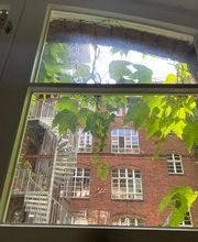 Merja Reinigung (Gebäudereinigung Merja) Bild 20