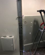 Loiseau Bernard image 5