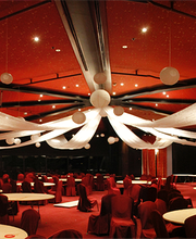 Party Ballons Sàrl Bild 1