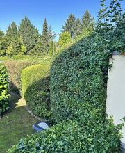 Gartenservice Mark Miess Bild 37