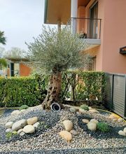 C.L. Giardini Bild 6