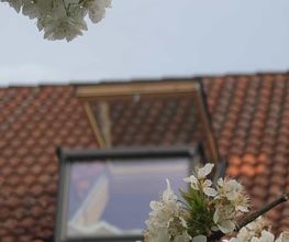 P&K Dachfenster Bild 4