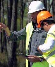 ALLIANCE Forêts Bois image 6