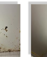 JLM peinture papiers peints nettoyages Sàrl Bild 7