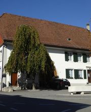 Lisibach Maler + Gipser AG Bild 13