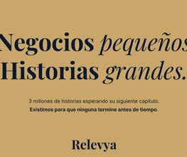 Relevya imagen 1