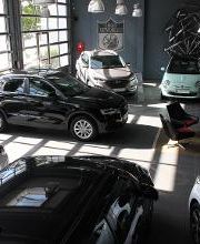 Gekko Automobile Bild 2