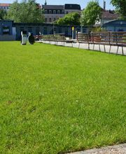 Rollrasen im Stadtbad Radeberg