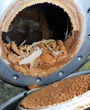 Kaufmann Gotthard AG Bild 10