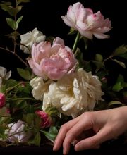 Balaruc Funéraire image 14