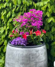 Rössli Mattstetten AG, zum staubigen Esel Bild 10