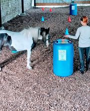 Fontaines Anaïs image 2