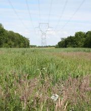 Eurl de Peyrols image 3