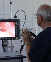 Kleintierpraxis HallMa AG Bild 2