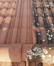 Project Habitat Sarl image 2