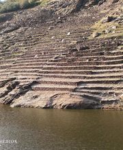 Virxen Dos Remedios imagen 3