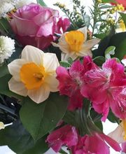 La source aux fleurs image 1