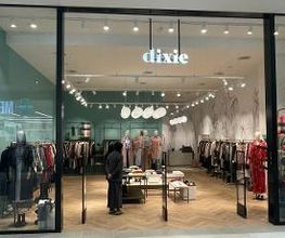 DIXIE immagine 1