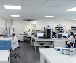 Labexan image 9