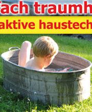 Schreiber, Torsten Bild 1