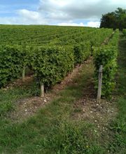 Lejus Arnaud image 2