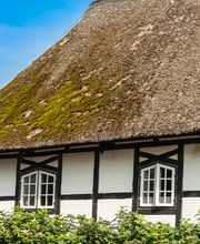 fördelehm GmbH Bild 3