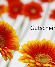 Blumen Maarsen AG Bild 9