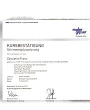 Schimmel Experten - Sirnach Bild 13