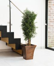 DECO-VEGETALE image 9
