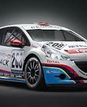 Adl.Ve- Agent Peugeot image 5