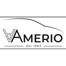 Amerio – Peugeot Citroen logo