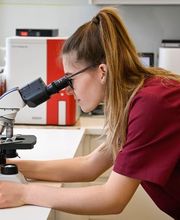 Tierklinik Rossweid AG Bild 8