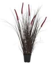 Ambiente Lichtkultur Bild 13