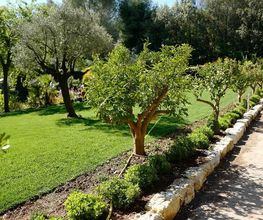 Exo Jardins SARL image 8