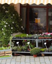 Gärtnerei Christian Masetti Bild 2