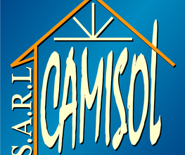 Camisol image 1