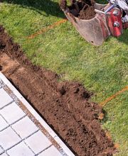 Azizi Gartenbau Bild 6