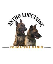 Antho Educanine image 12