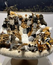 EDELWIIS Interiors Bild 11