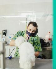 Mökai Mascotas imagen 5