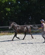 Les Sabots de Villecartier image 3