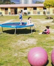 Escuela de Doma Clásica EV imagen 12