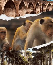 N&E TRAVEL imagen 10