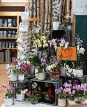 HORNBACH Ingolstadt Bild 4