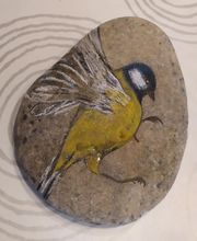 Graffin Séverine image 3