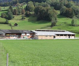 A. Riget Holzbau AG Bild 3